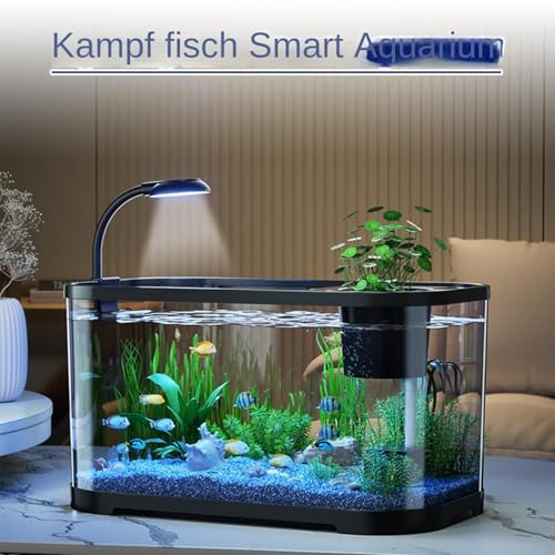 Aquarium-Starter-Kits – Aquarium-Set für Anfänger | Kleines Fischtank-Kit | Tisch-Terrarium, Dekoratives Becken für Sumpfschildkröten, transparentes Haustier-Aquarium Supplies Aquarium-Starter-Kits – Aquarium-Set für Anfänger | Kleines Fischtank-Kit | Tisch-Terrarium, Dekoratives Becken für Sumpfschildkröten, transparentes Haustier-Aquarium Supplies von Generisch