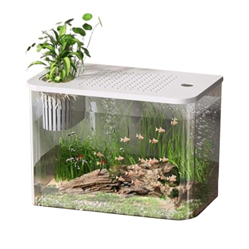 Aquarium-Starter-Kits – Schildkrötenbecken für Goldfischbecken – kleine Aquarien, dekorativer Fischbehälter für Fische und Gartenliebhaber von Generisch