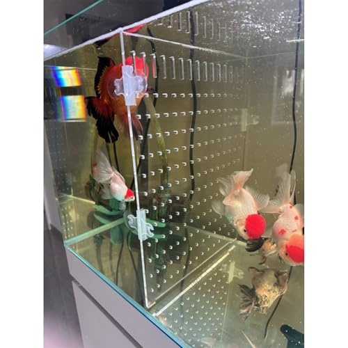 Aquarium-Tank-Trennwand, transparentes Acryl, verstellbarer Zuchtkoffer für Betta und Kampffische, gesunde Trennlösung Aquarium-Tank-Trennwand, transparentes Acryl, verstellbarer Zuchtkoffer für Betta und Kampffische, gesunde Trennlösung von Generisch