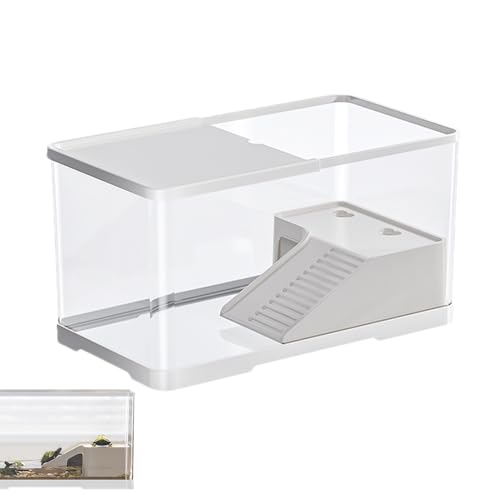 Aquatisches Habitat – Schildkrötenbecken mit Plattform, Transparentes Aquarium | Amphibien-Behälter für Frösche, Einsiedlerkrebse, Flusskrebse, kleine Reptilien, Sonnenplattform, Tierzuchtaquarium, Te Aquatisches Habitat – Schildkrötenbecken mit Plattform, Transparentes Aquarium | Amphibien-Behälter für Frösche, Einsiedlerkrebse, Flusskrebse, kleine Reptilien, Sonnenplattform, Tierzuchtaquarium, Te von Generisch