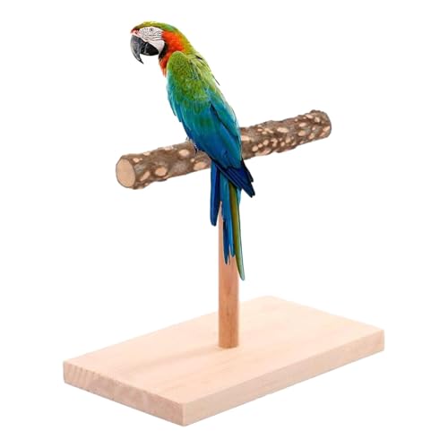 -Barsch, Naturholzvogelperch, Vogelstange für, Schleiftraining Spielzeug für Tischplatte, Vogelübungsspielzeug für Liebe Vogel Karpfenschuppungen Maakawen -Barsch, Naturholzvogelperch, Vogelstange für, Schleiftraining Spielzeug für Tischplatte, Vogelübungsspielzeug für Liebe Vogel Karpfenschuppungen Maakawen von Generisch