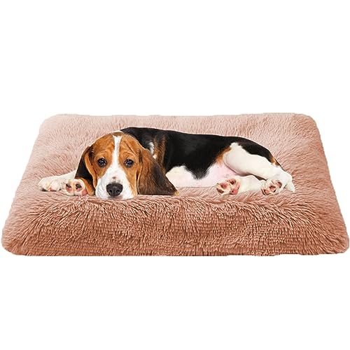 Beruhigendes Hundebett für kleine, große, mittelgroße Hunde und Katzen, rutschfeste Hundebox-Matte mit Kissen, Bett, Zwingerunterlage und Kistenmatratze, Haustierbett für Welpen, Katzen, 100 x 70 x 10 von Generisch