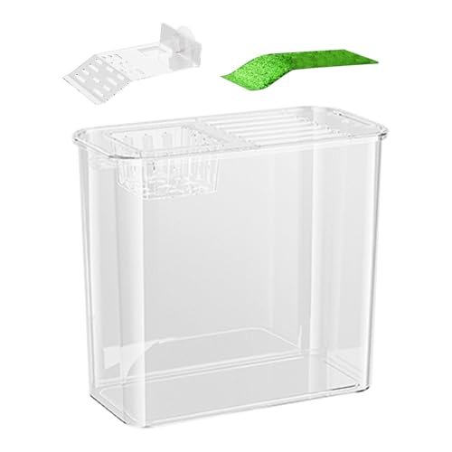 Betta Aquarium, durchsichtiges Betta-Aquarium, Schildkrötentank-Starter, Fischtank für Betta-Fische, Schildkrötenbecken ohne Abdeckung, Schildkröte und Aquarium, dekoratives Fischglas, transparente von Generisch