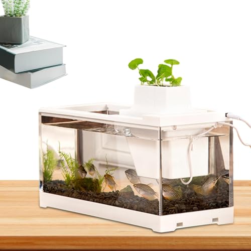 Betta Aquarium, kleines Aquarium, kleines Aquarium, USB-Desktop- -Fischtank, dekoratives Retro-Fischtank, Aquarium-Starter-Kits mit Luftpumpe und Licht, kleines Desktop-Fischbecken von Generisch