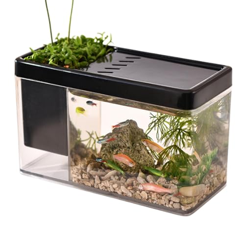 Betta Aquarium – Transparentes kleines Betta-Fischbecken | -Fischbecken für Meeresaffen, Garnelen, Schnecken von Generisch