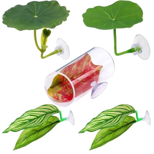 Betta Blatt Hängematte | Saugnapf Ruheblatt für Aquarienfische | Aquarium Laichplatz 5er-Set mit Natürlichem Guppy-Zuchtbett zur Dekoration Betta Blatt Hängematte | Saugnapf Ruheblatt für Aquarienfische | Aquarium Laichplatz 5er-Set mit Natürlichem Guppy-Zuchtbett zur Dekoration von Generisch