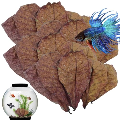 Betta Garnelenblätter – Aquarium-Wasseraufbereiter, natürliche Blätter-Aquarien | Natürliches Garnelenblätter-Aquarium mit Betta Health Shrimp Shelter, Bio-Leaff-Ergänzungs-Aquarium für Garnelen von Generisch