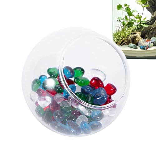 Betta House – Aquarium-Ornament – Aquarium, schwarze , Ruhehaus für Aquarium, Dekoration, Einsiedlerkrebse, Zuchtnest Betta House – Aquarium-Ornament – Aquarium, schwarze , Ruhehaus für Aquarium, Dekoration, Einsiedlerkrebse, Zuchtnest von Generisch