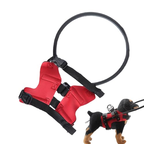 Blind Dog Harness - Blind Dog Harness Vest - Adjustable Protective Collar Ring Bumper Accessories for Safety Outdoor Walking Confidence Building Blind Dog Harness - Blind Dog Harness Vest - Adjustable Protective Collar Ring Bumper Accessories for Safety Outdoor Walking Confidence Building von Generisch