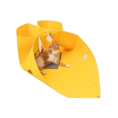 Cat Cave Donut, Tunnel per Gatti ciambelle - Donut del del letto di Gatto in feltro | Gattino interattivo Kitten Playground, giocattoli di arricchimento staccabile, nascondiglio deformabile per c von Generisch