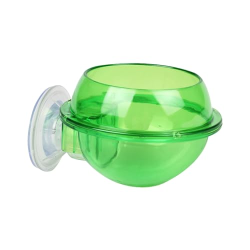 Chamäleon Bowl, Gecko Ledge Wassernapf Reptilien Feeder Wasserschalen Chamäleon Fütterung Futter Bowl Wasserschale von Generisch