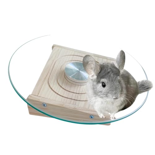 Chinchilla -Laufrad, Trainingsrad für kleine Tiere - Silent Hamster Sportsrad - Häuser & Lebensräume Spielzeug, Käfigzubehör, Spinner für Chinchillas, Guinea von Generisch