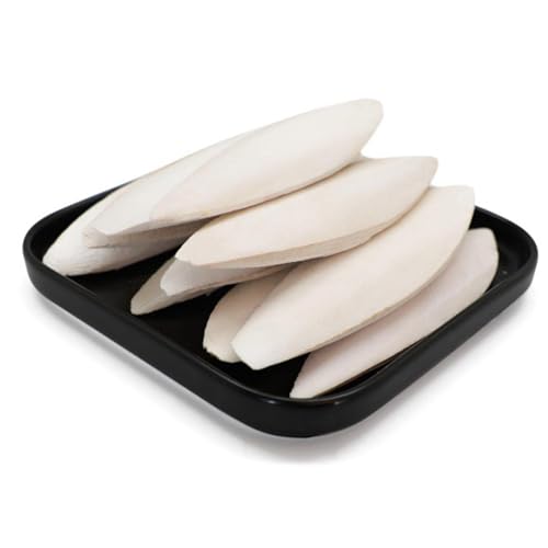 Cuttlebone für Sittiche - 10 Stück Aquarium Schildkröte Kauen Cuttlebone - Haustierbedarf, Kuschelknochen Spielzeug für Schildkröten, Papageien, Vögel, Hamster, Schnecken von Generisch