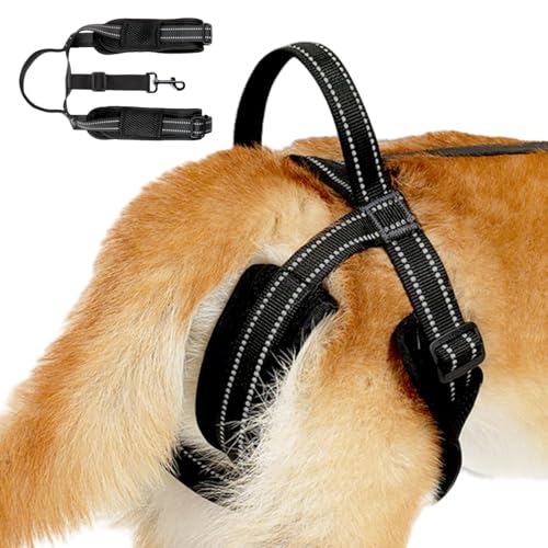 Dog Lift Harness Dog Sling | Comfortable Dog Sling Reflective Strips Hip Support Harness - Sturdy Handle Vest Harnesses Dog Lift Harness for Elderly or Disabled Dogs Dog Lift Harness Dog Sling | Comfortable Dog Sling Reflective Strips Hip Support Harness - Sturdy Handle Vest Harnesses Dog Lift Harness for Elderly or Disabled Dogs von Generisch
