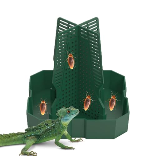 Dragon Feeder | Chamäleon Futternapf | Abs Reptilienfutter | Futternapf für Chamäleon | gegenseitiges Einführen von Beuteschale | Gecko Pet Bowl | Futternäpfe für Leopard | Bartagamäleon | von Generisch