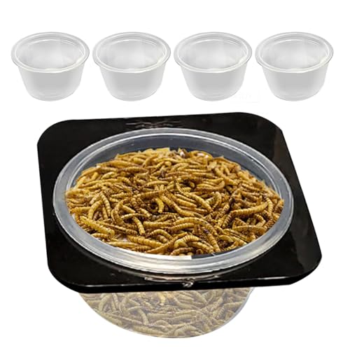 Echsenwasserschale, Reptilien -Fütterungsschale Crested Water Bowl Reptile Food Feeder Abnehmbare platzsparende Tankzubehör mit Tassen Fütterungsschale für Gecko von Generisch