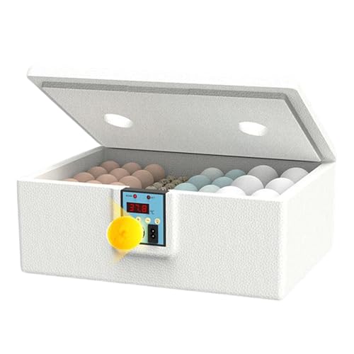 Eier Brutkasten Geflügel Brutgerät Smart Wachteln Brutkästen Gleichmäßige Wärmeverteilung Digital Display Interface 1 Stück Geeignet für Wachtel, Huhn, Enteneier Eier Brutkasten Geflügel Brutgerät Smart Wachteln Brutkästen Gleichmäßige Wärmeverteilung Digital Display Interface 1 Stück Geeignet für Wachtel, Huhn, Enteneier von Generisch