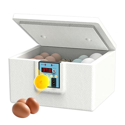 Eier Inkubator | Automatisches Brutgerät Mit Temperaturregelung | Temperaturkontrollierter Automatischer Touch-Control Brutgerät Für Brutapparat Inkubation Eier Inkubator | Automatisches Brutgerät Mit Temperaturregelung | Temperaturkontrollierter Automatischer Touch-Control Brutgerät Für Brutapparat Inkubation von Generisch