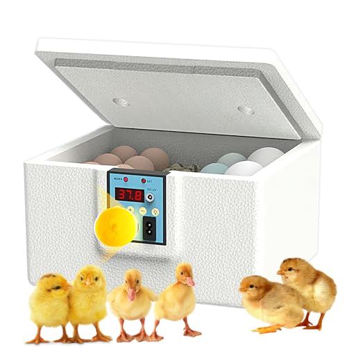 Eier Inkubator Box | Automatische Entenküken Brutbox | Temperaturgesteuertes Brutgerät Mit Digitaler Anzeige Und Touch Bedienung Eier Inkubator Box | Automatische Entenküken Brutbox | Temperaturgesteuertes Brutgerät Mit Digitaler Anzeige Und Touch Bedienung von Generisch