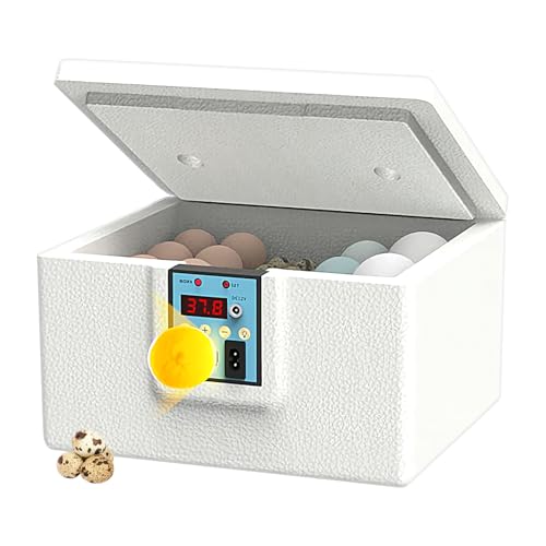 Eier Inkubator Box - Enten Wärmekasten - Temperaturkontrollierter Automatischer Touch-Control Brutgerät Für Brutapparat Inkubation Eier Inkubator Box - Enten Wärmekasten - Temperaturkontrollierter Automatischer Touch-Control Brutgerät Für Brutapparat Inkubation von Generisch