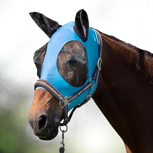 Equestrain Fliegenmaske für Pferde, super bequem, dehnbar, großer Augenraum mit UV-Schutz, weich auf der Haut mit Atmungsaktivität (Azurblau, Größe L) von Generisch