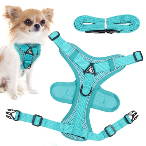 Escape-Proof Cat Harness, Reflective Kitten Lead Set, Comfortable Walking Harness for Kittens and Puppies, Safe Outdoor Adventures, 9.06x7.48x0.79 Inches, 11.42x8.66x0.79 Inches Escape-Proof Cat Harness, Reflective Kitten Lead Set, Comfortable Walking Harness for Kittens and Puppies, Safe Outdoor Adventures, 9.06x7.48x0.79 Inches, 11.42x8.66x0.79 Inches von Generisch