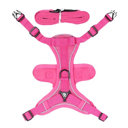 Escape-Proof Cat Harness, Reflective Kitten Lead Set, Comfortable Walking Harness for Kittens and Puppies, Safe Outdoor Adventures, 9.06x7.48x0.79 Inches, 11.42x8.66x0.79 Inches Escape-Proof Cat Harness, Reflective Kitten Lead Set, Comfortable Walking Harness for Kittens and Puppies, Safe Outdoor Adventures, 9.06x7.48x0.79 Inches, 11.42x8.66x0.79 Inches von Generisch