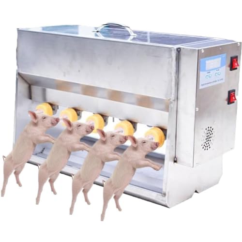 Ferkel Feeder Milch, kleine Schweineflaschen zum Stillen, 10/14 Nippel, Edelstahl Ferkel Stillstation und Milchfutterstation - Ideal für Ferkel und kleines Lamm von Generisch