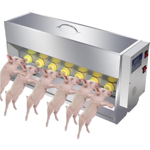 Ferkel Feeder Milch, kleine Schweineflaschen zum Stillen, 10/14 Nippel, Edelstahl Ferkel Stillstation und Milchfutterstation - Ideal für Ferkel und kleines Lamm von Generisch