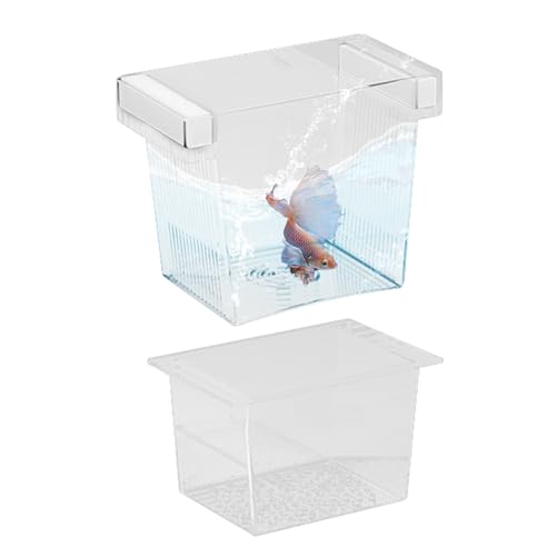 Fisch-Zuchtbox für Aquarium - Jungfisch-Separator für Aquarium,Brutstätte Fütterungsbehälter Aufzucht Trennwand Für Kampffisch Guppy Skalar Akklimatisierung Fisch-Zuchtbox für Aquarium - Jungfisch-Separator für Aquarium,Brutstätte Fütterungsbehälter Aufzucht Trennwand Für Kampffisch Guppy Skalar Akklimatisierung von Generisch