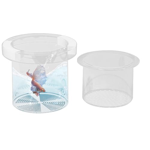 Fischbecken Zuchtbox | Jungfisch-Separator für Aquarium,Trennbox Aufzucht Schutz Brut Laich Guppy Betta Jungfische Lösung Fischbecken Zuchtbox | Jungfisch-Separator für Aquarium,Trennbox Aufzucht Schutz Brut Laich Guppy Betta Jungfische Lösung von Generisch