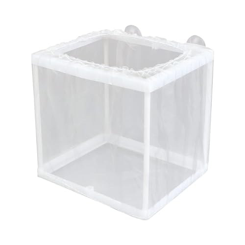 Fischbrutkasten – Fischbrutstätte mit Saugnäpfen | Mesh Tank Inkubator Box, ausgezeichnete Qualität Tank Inkubator Netz, Aquarium Hatcher für Guppy Garnelen Aquarium Zubehör von Generisch