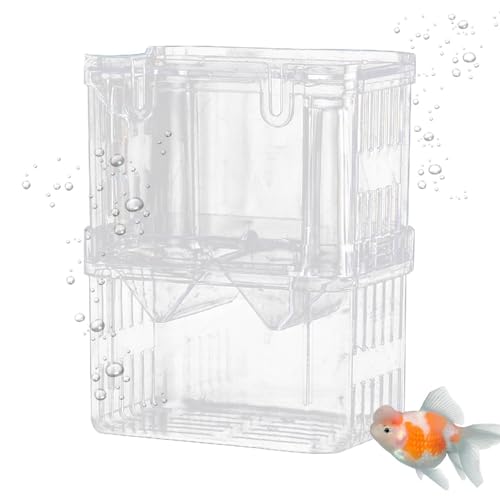 Fischgeburtsbecken – Aquarium-Züchterbox | Baby-Fischtrenner für Tank | Inkubator mit Saugnäpfen Baby-Trennwand für | Aquariumzuchtbehälter | Zuchtisolierung Fischgeburtsbecken – Aquarium-Züchterbox | Baby-Fischtrenner für Tank | Inkubator mit Saugnäpfen Baby-Trennwand für | Aquariumzuchtbehälter | Zuchtisolierung von Generisch