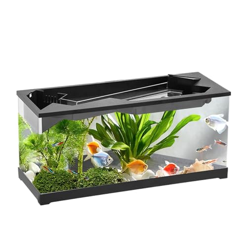 Fischtank - Acryl Clear Desk Aquarium mit Filter | Aquariumtanks | 6 Fisch -Terrarium -Starter -Kits mit Luftpumpe für Tischplatten, Wohnzimmer, Studio, Zuhause von Generisch