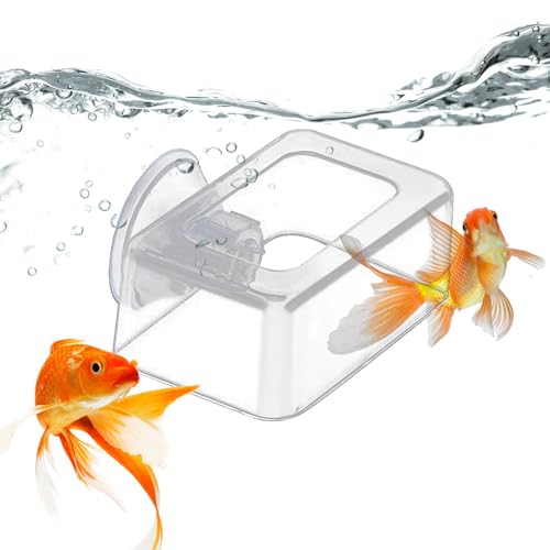 Fischtankfutterspender - Acrylfischtank Fester Lebensmittelspender | Aquarium -schwimmender Futter -Feeder | Fütterungsbereich Ausgabewerkzeug Mit Einem Starken Saugnapfbecher | Fütterung Schwimmendes von Generisch