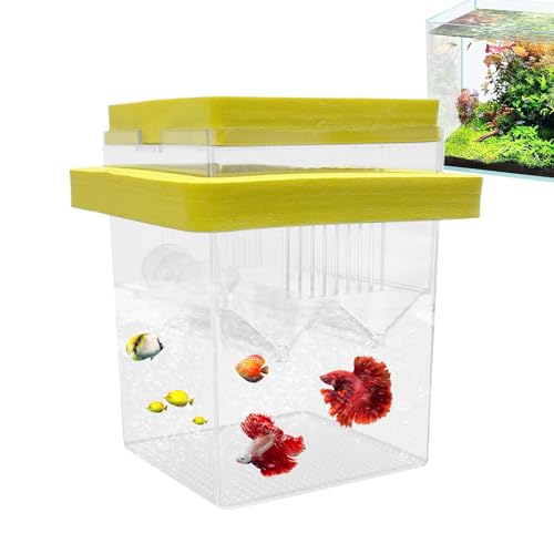 Fischzuchtbox – Set mit 2 Saugnäpfen, Fisch-Isolationsbox, verstellbare Höhe, verschleißfest, umweltfreundlich, schwimmend, kleine Garnelen-Isolations-Trennwand, Brutkasten für Aquarien von Generisch