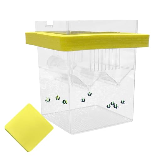 Fischzüchterbox, Guppy Betta Fisch Isolation Box, Float Kleine Garnelen Isolation Trennwand Schlüpfen Box Mit Saugnäpfen, Fisch Accliation Box Für Aquarium von Generisch