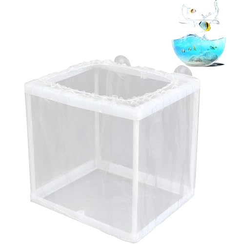 Fischzüchtung - Aquarium Kindergarten, Luke Cradle | Transparente Isolation Net Cage für Braten Teiler dly Tank Baby Guppy Paarungskammer Saugnapfbecher Inkubator Setup Shelter Protection Tool Fischzüchtung - Aquarium Kindergarten, Luke Cradle | Transparente Isolation Net Cage für Braten Teiler dly Tank Baby Guppy Paarungskammer Saugnapfbecher Inkubator Setup Shelter Protection Tool von Generisch