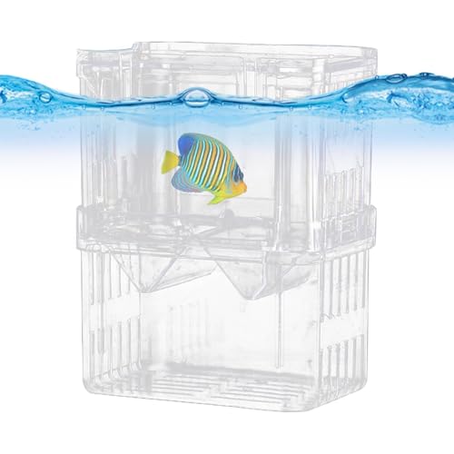 Fish Breeding Box, Small Large Tank Aquarium, Breeding Box for Fish Tank for Guppy,Tropical Fish, Fry Isolation,Double Layer Isolation Net,Floating Fish Incubator with Suction Cups von Generisch