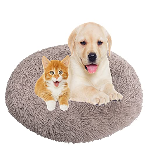 Flauschiges Plüsch-Hundebett in Donut-Form, waschbar, beruhigend, Katzenmatte, abnehmbar und rutschfest, 80 cm, Beige / Braun von Generisch