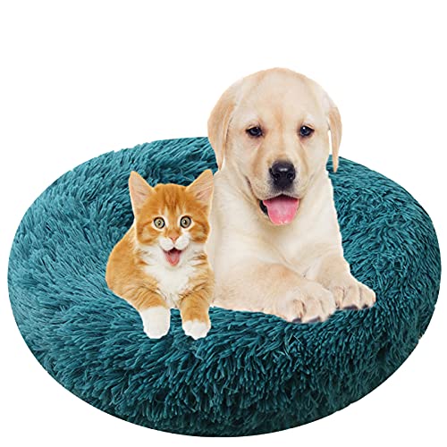 Flauschiges Plüsch-Hundebett in Donut-Form, waschbar, beruhigendes Haustierbett mit warmem Kissen für Katzen, rutschfeste Unterseite, abnehmbarer Bezug, Cyan, 90 cm von Generisch