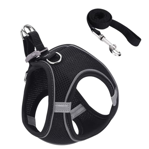 Fluchtsicheres Katzen Geschirr | Weiches Reflektierendes Mesh Geschirr Und Leine,Größen S M L Für Wanderungen Training Reisen Outdoor Fluchtsicheres Katzen Geschirr | Weiches Reflektierendes Mesh Geschirr Und Leine,Größen S M L Für Wanderungen Training Reisen Outdoor von Generisch