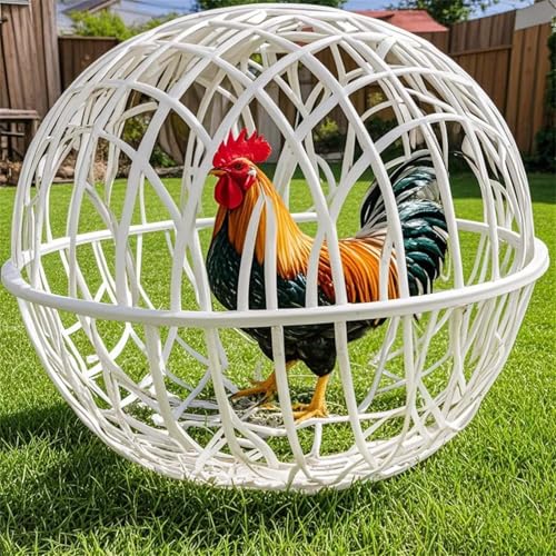 Freilaufgehege, Outdoor-Gehege, Huhn Rolling Ball Cage, Abnehmbarer Kugelförmiger Sicherheitskäfig Für Haustiere, Beweglicher Hühnerkäfig, Kugelförmiger Hühner-Hamster-Ballkäfig, 3 Stück (20CM) Freilaufgehege, Outdoor-Gehege, Huhn Rolling Ball Cage, Abnehmbarer Kugelförmiger Sicherheitskäfig Für Haustiere, Beweglicher Hühnerkäfig, Kugelförmiger Hühner-Hamster-Ballkäfig, 3 Stück (20CM) von Generisch