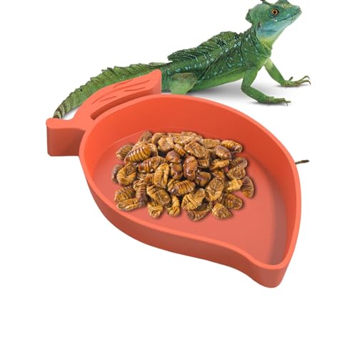 Futter- und Wasserschale für Reptilien, Mangoform, Chamäleon-Futterstation für Reptilien, Terrarium, Schildkröten-Futterteller, Schlangen-Eidechsen-Futterstation für Wasserfutter von Generisch