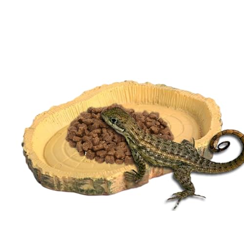 Gecko Feeding Ledge, Schildkröte Fütterungsschale - Flache und Flache Reptilien -Fütterungsschale - Lustiger -Feeder, lustige Haustierversorgungen für bärtigen Drachen, Eidechsen von Generisch