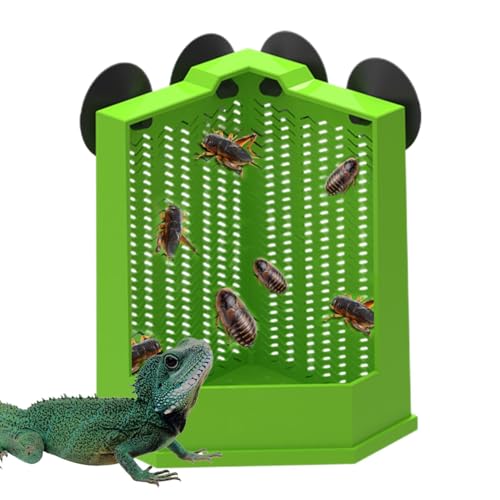 Gecko Food Bowl, Reptile Dish Feeder, Suction Cup Gecko Food Dish, Reptile Feeding Bowl for Lizard, Bearded Dragon, Anti-Escape Terrarium Dish, Reptile Bowl Anti-Spill, Suction Cup Gecko Feeder von Generisch