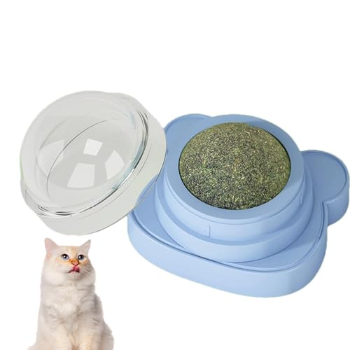 Generico Katzenspielzeugbälle - Tragbare Katzenspielzeugbälle | Spielbälle für die Wand Lecken Kauspielzeug für Katzen, Katzenball zum Lecken Gi Generico Katzenspielzeugbälle - Tragbare Katzenspielzeugbälle | Spielbälle für die Wand Lecken Kauspielzeug für Katzen, Katzenball zum Lecken Gi von Generisch