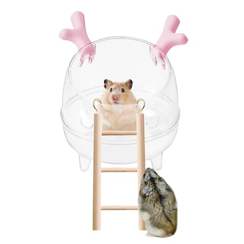 Generico Sand Bathtub for Hamsters, Clear Pet Hamster Sand Bath Bowl with Ladder, Animal Habitat Decor, Small Pet Cage Accessories for Hamsters, Hedgehogs & Lemmings, (Fun & Functional) von Generisch