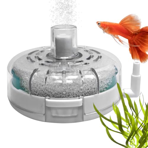 Generisch Aquariumfilter - Filter Für Kleine Aquarien,Filterbelüfterpumpe Für Zucht Von Schildkröten Terrarium Salz- Und Süßwasser Generisch Aquariumfilter - Filter Für Kleine Aquarien,Filterbelüfterpumpe Für Zucht Von Schildkröten Terrarium Salz- Und Süßwasser von Generisch