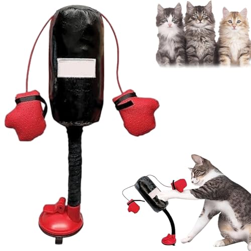 Generisch Cat Punching Bag Toy, Cat Boxing Toy, Boxing Cat Toy, Boxing Punching Bag Catnip Toy, Punching Bag with Gloves Cat Toy, Punching Bag Play Gym for Kittyweight Champions (1PCS) von Generisch